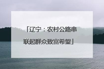 辽宁：农村公路串联起群众致富希望
