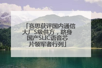 赛思获评国内通信大厂S级供方，跻身国产SLIC语音芯片领军者行列