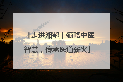 走进湘鄂｜领略中医智慧，传承医道薪火