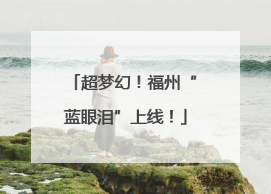 超梦幻！福州“蓝眼泪”上线！