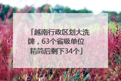 越南行政区划大洗牌，63个省级单位精简后剩下34个