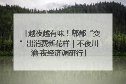 越夜越有味！郫都“变”出消费新花样｜不夜川渝·夜经济调研行