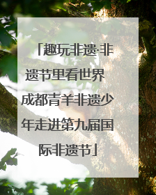 趣玩非遗·非遗节里看世界 成都青羊非遗少年走进第九届国际非遗节
