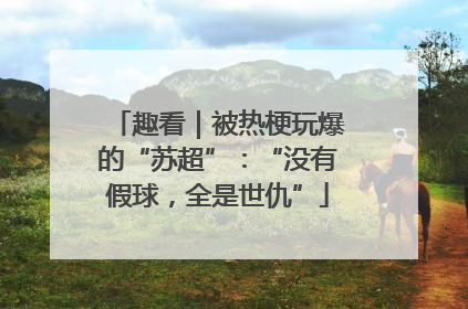 趣看｜被热梗玩爆的“苏超”：“没有假球，全是世仇”