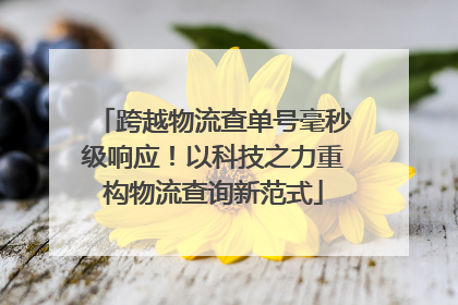 跨越物流查单号毫秒级响应！以科技之力重构物流查询新范式