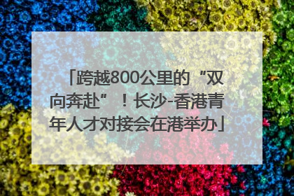 跨越800公里的“双向奔赴”！长沙-香港青年人才对接会在港举办