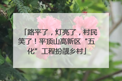 路平了，灯亮了，村民笑了！平顶山高新区“五化”工程扮靓乡村