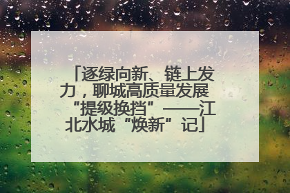 逐绿向新、链上发力，聊城高质量发展“提级换挡”——江北水城“焕新”记