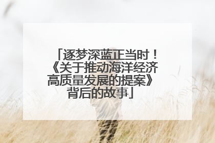 逐梦深蓝正当时！《关于推动海洋经济高质量发展的提案》背后的故事