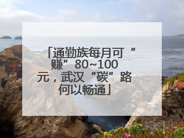 通勤族每月可“赚”80~100元，武汉“碳”路何以畅通