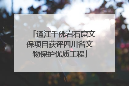 通江千佛岩石窟文保项目获评四川省文物保护优质工程