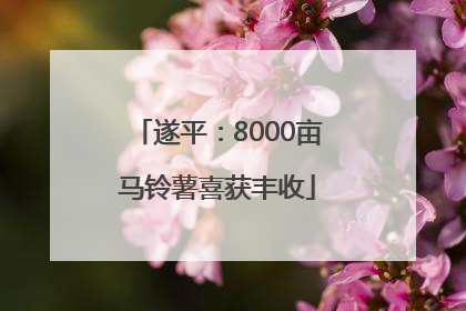 遂平：8000亩马铃薯喜获丰收