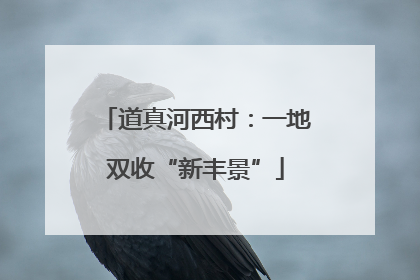 道真河西村：一地双收“新丰景”