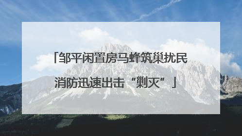 邹平闲置房马蜂筑巢扰民 消防迅速出击“剿灭”