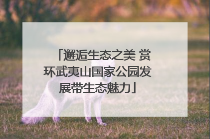 邂逅生态之美 赏环武夷山国家公园发展带生态魅力