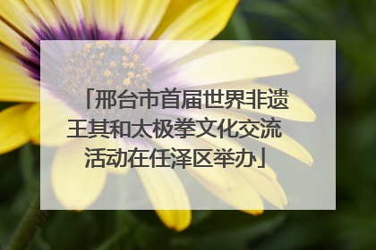 邢台市首届世界非遗王其和太极拳文化交流活动在任泽区举办