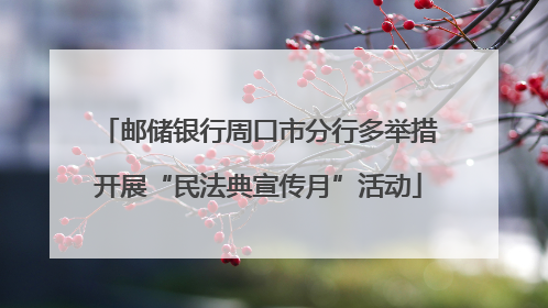 邮储银行周口市分行多举措开展“民法典宣传月”活动