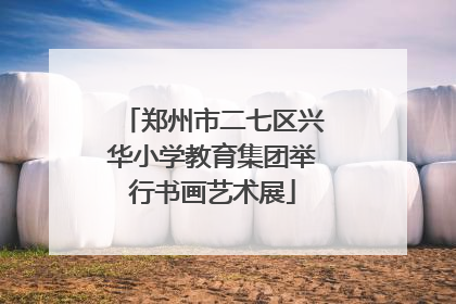 郑州市二七区兴华小学教育集团举行书画艺术展