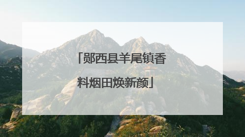 郧西县羊尾镇香料烟田焕新颜