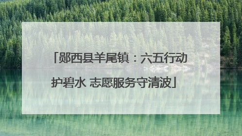 郧西县羊尾镇：六五行动护碧水 志愿服务守清波