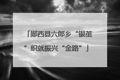 郧西县六郎乡“银茧”织就振兴“金路”