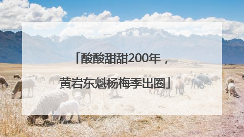 酸酸甜甜200年，黄岩东魁杨梅季出圈