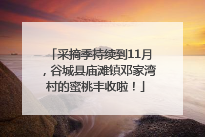 采摘季持续到11月，谷城县庙滩镇邓家湾村的蜜桃丰收啦！