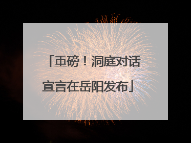 重磅！洞庭对话宣言在岳阳发布