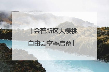 金普新区大樱桃自由尝享季启幕