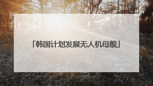 韩国计划发展无人机母舰