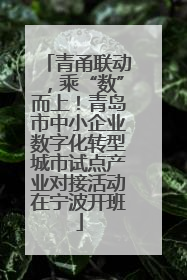 青甬联动，乘“数”而上！青岛市中小企业数字化转型城市试点产业对接活动在宁波开班