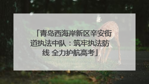 青岛西海岸新区辛安街道执法中队：筑牢执法防线 全力护航高考