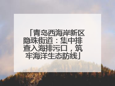 青岛西海岸新区隐珠街道：集中排查入海排污口，筑牢海洋生态防线