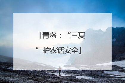 青岛：“三夏”护农话安全