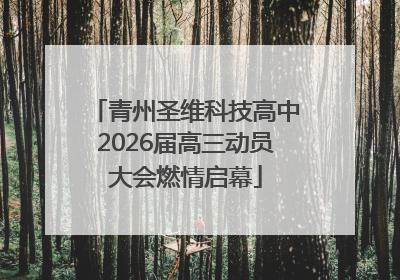 青州圣维科技高中2026届高三动员大会燃情启幕