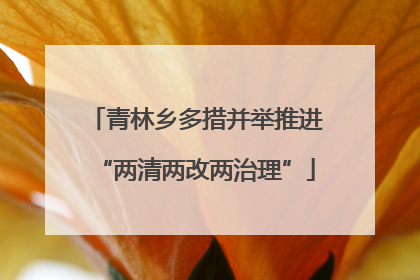 青林乡多措并举推进“两清两改两治理”