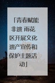 青春赋能非遗 雨花区开展文化遗产宣传和保护主题活动