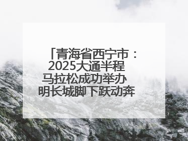 青海省西宁市：2025大通半程马拉松成功举办 明长城脚下跃动奔跑音符
