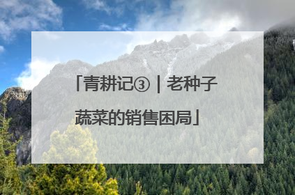 青耕记③｜老种子蔬菜的销售困局