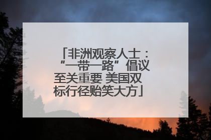 非洲观察人士：“一带一路”倡议至关重要 美国双标行径贻笑大方
