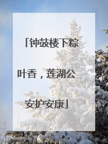 钟鼓楼下粽叶香，莲湖公安护安康