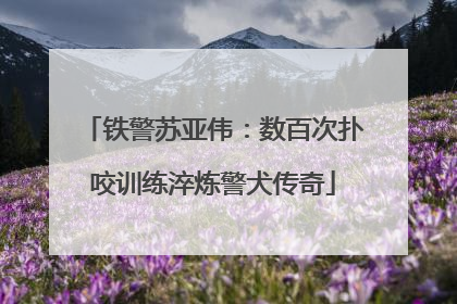 铁警苏亚伟：数百次扑咬训练淬炼警犬传奇