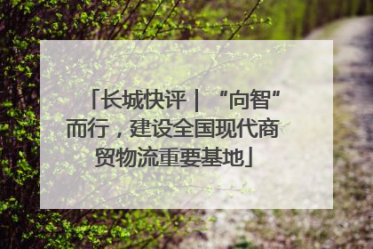长城快评｜“向智”而行，建设全国现代商贸物流重要基地