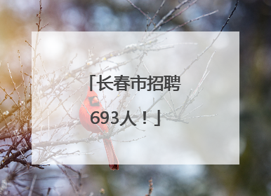 长春市招聘693人！