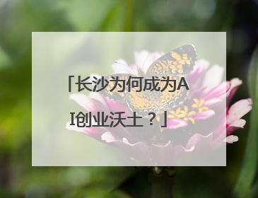 长沙为何成为AI创业沃土？