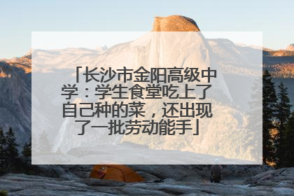 长沙市金阳高级中学：学生食堂吃上了自己种的菜，还出现了一批劳动能手
