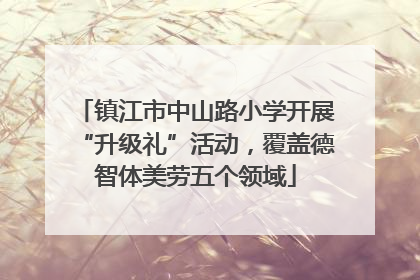 镇江市中山路小学开展“升级礼”活动，覆盖德智体美劳五个领域