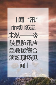 闻“汛”而动 防患未然——炎陵县防汛应急救援综合演练现场见闻