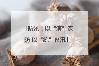 防汛｜以“演”筑防 以“练”备汛