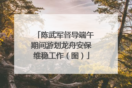 陈武军督导端午期间游划龙舟安保维稳工作（图）